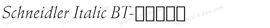 Schneidler Italic BT字体转换
